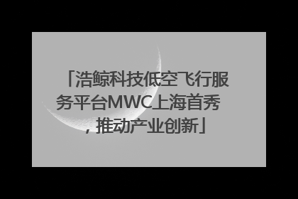 浩鲸科技低空飞行服务平台MWC上海首秀，推动产业创新