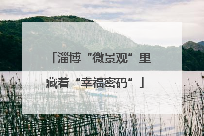 淄博“微景观”里藏着“幸福密码”