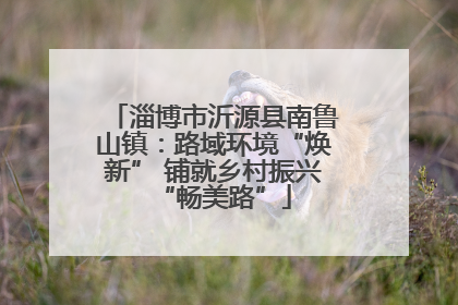 淄博市沂源县南鲁山镇：路域环境“焕新” 铺就乡村振兴“畅美路”