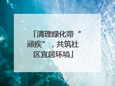 清理绿化带“顽疾”，共筑社区宜居环境