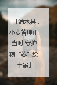 清水县：小麦管理正当时 守护粮“芯”绘丰景