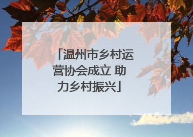 温州市乡村运营协会成立 助力乡村振兴