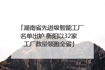 湖南省先进级智能工厂名单出炉 衡阳以32家工厂数量领跑全省