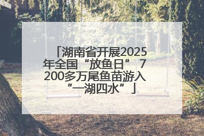 湖南省开展2025年全国“放鱼日” 7200多万尾鱼苗游入“一湖四水”