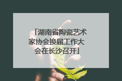 湖南省陶瓷艺术家协会换届工作大会在长沙召开