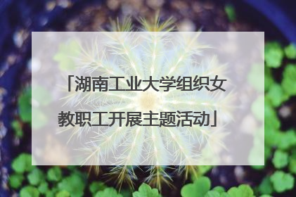 湖南工业大学组织女教职工开展主题活动