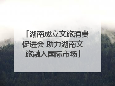 湖南成立文旅消费促进会 助力湖南文旅融入国际市场