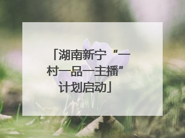湖南新宁“一村一品一主播”计划启动