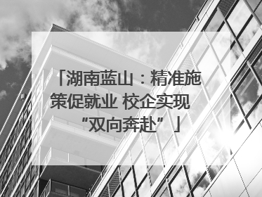 湖南蓝山：精准施策促就业 校企实现“双向奔赴”