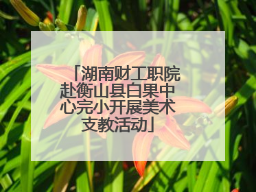 湖南财工职院赴衡山县白果中心完小开展美术支教活动