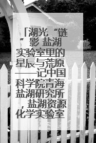 湖光“链”影 盐湖实验室里的星辰与荒原——记中国科学院青海盐湖研究所，盐湖资源化学实验室党总支书记、副主任刘忠