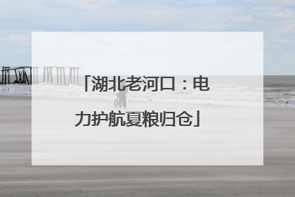 湖北老河口：电力护航夏粮归仓
