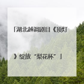 湖北越调剧目《顶灯》绽放“梨花杯”