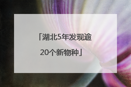 湖北5年发现逾20个新物种