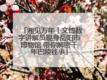湘见万年丨文博数字讲解员现身岳阳市博物馆 带你解密千年巴陵往事