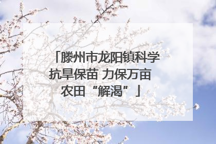 滕州市龙阳镇科学抗旱保苗 力保万亩农田“解渴”