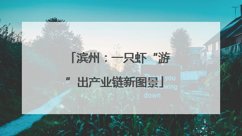 滨州：一只虾“游”出产业链新图景