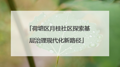 荷塘区月桂社区探索基层治理现代化新路径