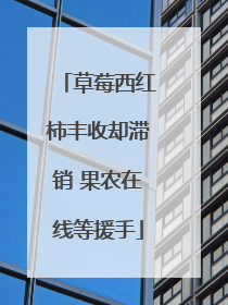 草莓西红柿丰收却滞销 果农在线等援手