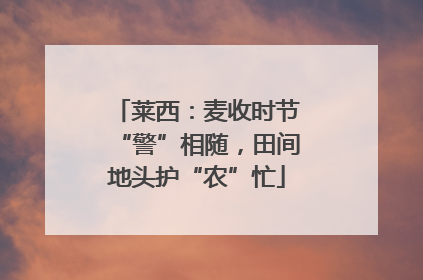 莱西：麦收时节“警”相随，田间地头护“农”忙