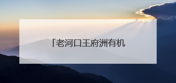 老河口王府洲有机西瓜“甜蜜”上市