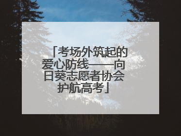 考场外筑起的爱心防线——向日葵志愿者协会护航高考