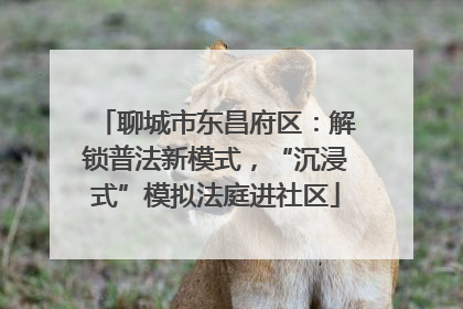 聊城市东昌府区：解锁普法新模式，“沉浸式”模拟法庭进社区