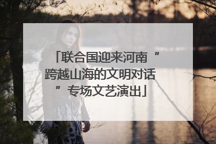 联合国迎来河南“跨越山海的文明对话”专场文艺演出