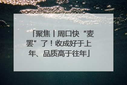 聚焦丨周口快“麦罢”了！收成好于上年、品质高于往年