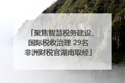 聚焦智慧税务建设、国际税收治理 29名非洲财税官湖南取经
