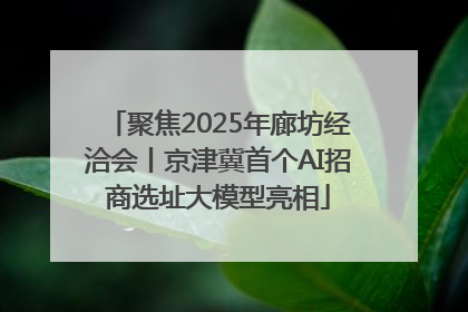 聚焦2025年廊坊经洽会丨京津冀首个AI招商选址大模型亮相