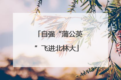 自强“蒲公英”飞进北林大