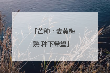芒种：麦黄梅熟 种下希望