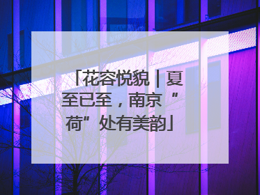 花容悦貌｜夏至已至，南京“荷”处有美韵