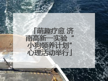 萌趣疗愈 济南高新一实验“小狗领养计划”心理活动举行