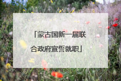 蒙古国新一届联合政府宣誓就职