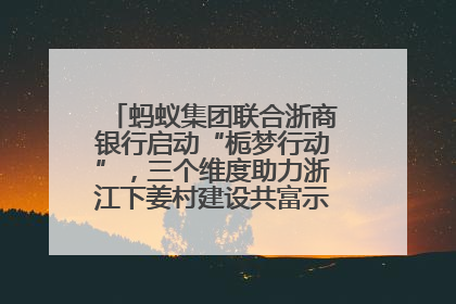 蚂蚁集团联合浙商银行启动“栀梦行动”，三个维度助力浙江下姜村建设共富示范区示范点