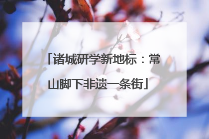 诸城研学新地标：常山脚下非遗一条街