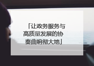 让政务服务与高质量发展的协奏曲响彻大地