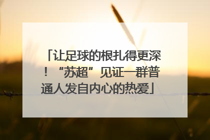 让足球的根扎得更深！“苏超”见证一群普通人发自内心的热爱