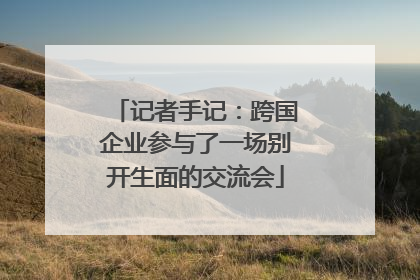 记者手记：跨国企业参与了一场别开生面的交流会