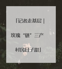 记者走基层｜玫瑰“链”三产 村民日子甜