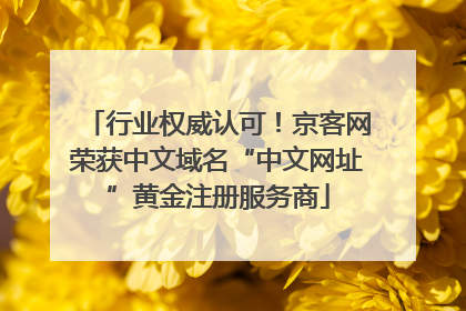 行业权威认可！京客网荣获中文域名“中文网址”黄金注册服务商