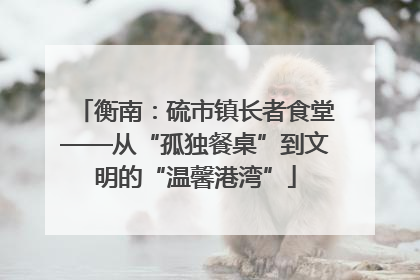 衡南：硫市镇长者食堂——从“孤独餐桌”到文明的“温馨港湾”