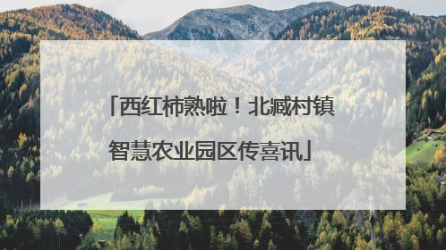 西红柿熟啦！北臧村镇智慧农业园区传喜讯