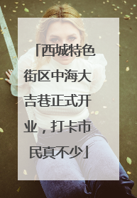 西城特色街区中海大吉巷正式开业，打卡市民真不少