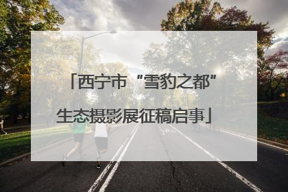西宁市“雪豹之都”生态摄影展征稿启事