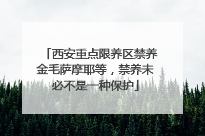 西安重点限养区禁养金毛萨摩耶等，禁养未必不是一种保护