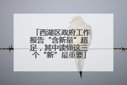 西湖区政府工作报告“含新量”超足，其中读懂这三个“新”最重要