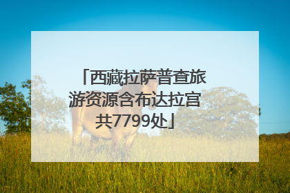 西藏拉萨普查旅游资源含布达拉宫共7799处